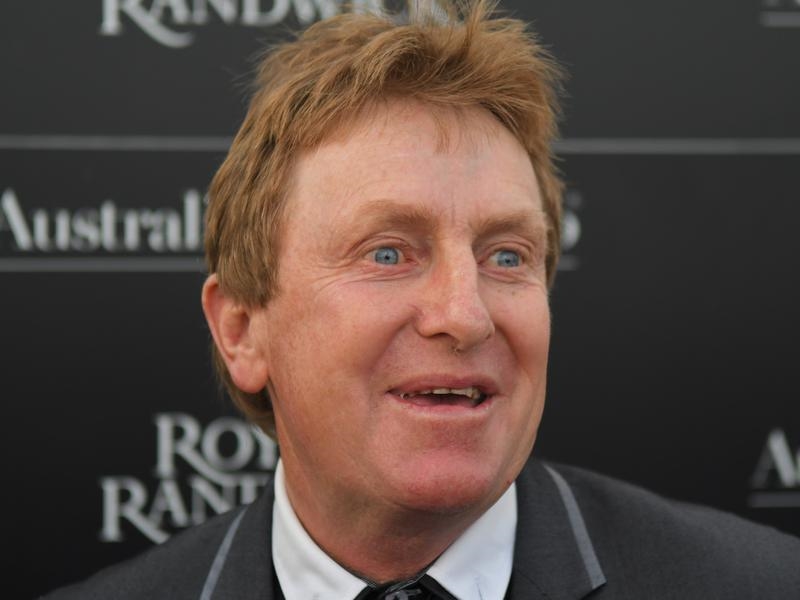 Jungle Edge returning to Randwick Just Racing
