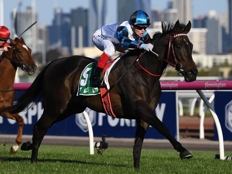 Derby Day Flemington Full set of tips & best Just Racing