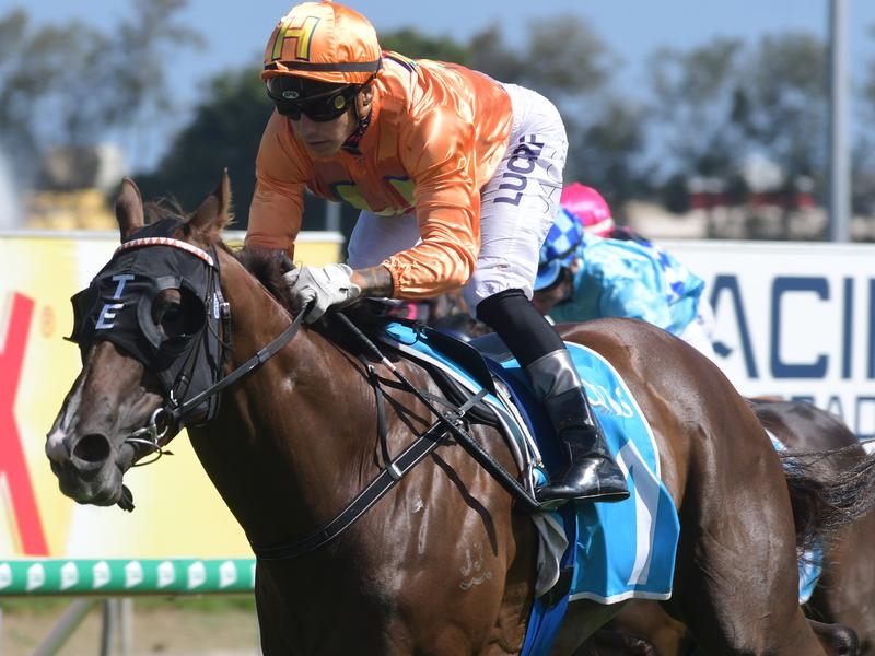 Toby Edmonds Blake Shinn reunites with Toby Edmonds | Just Racing