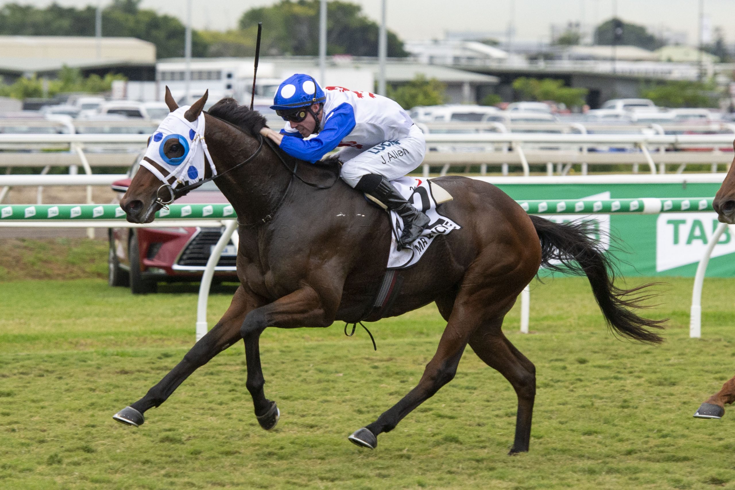Mr Q Quibble Racing Mr Quickie out to cause upset in the Doncaster Mile | Just Racing