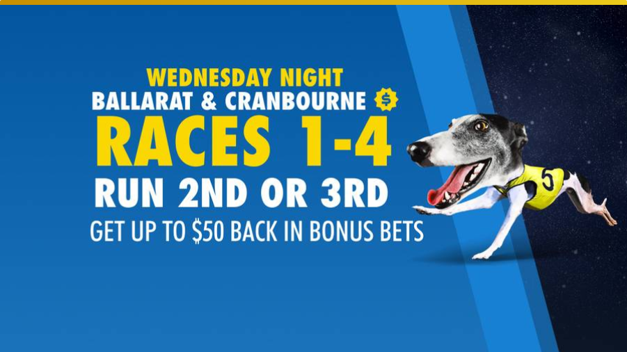 how to win money in cricket betting