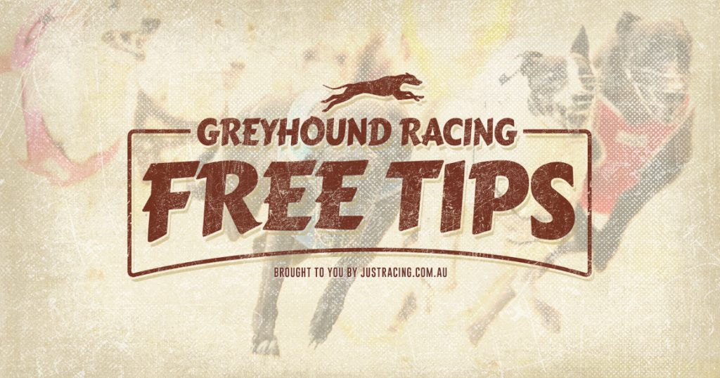 Greyhound Racing Tips