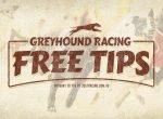 Greyhound Racing Tips