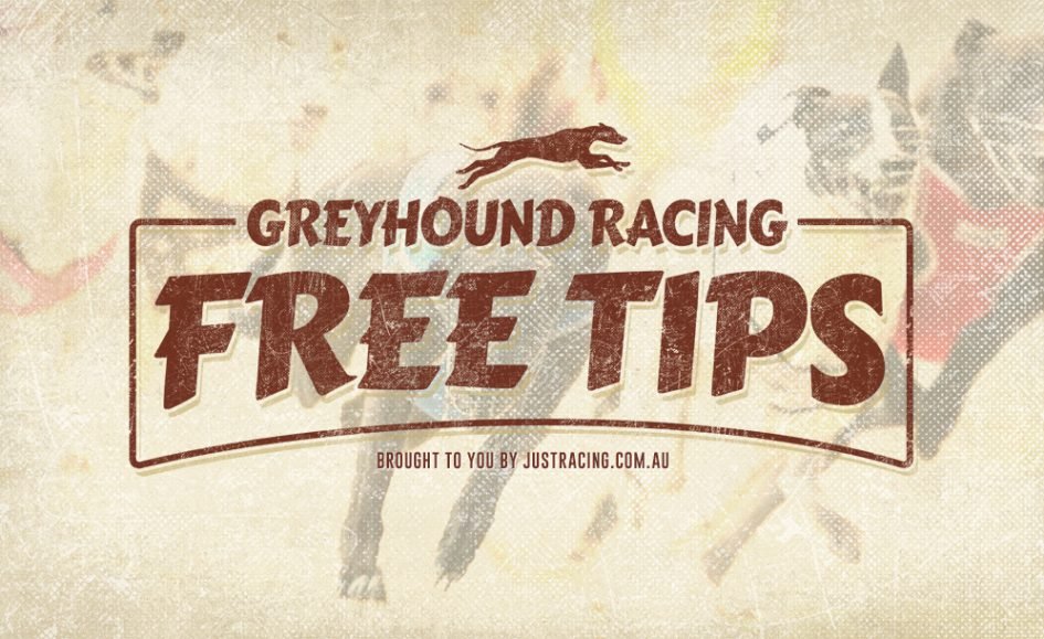 Greyhound Racing Tips