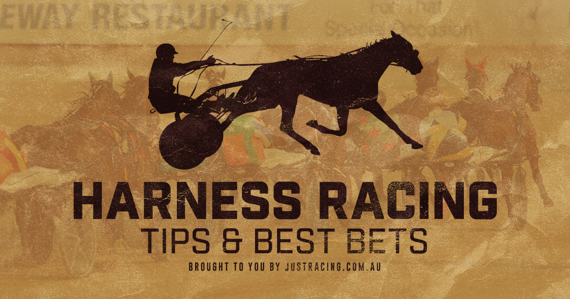 harness racing tips