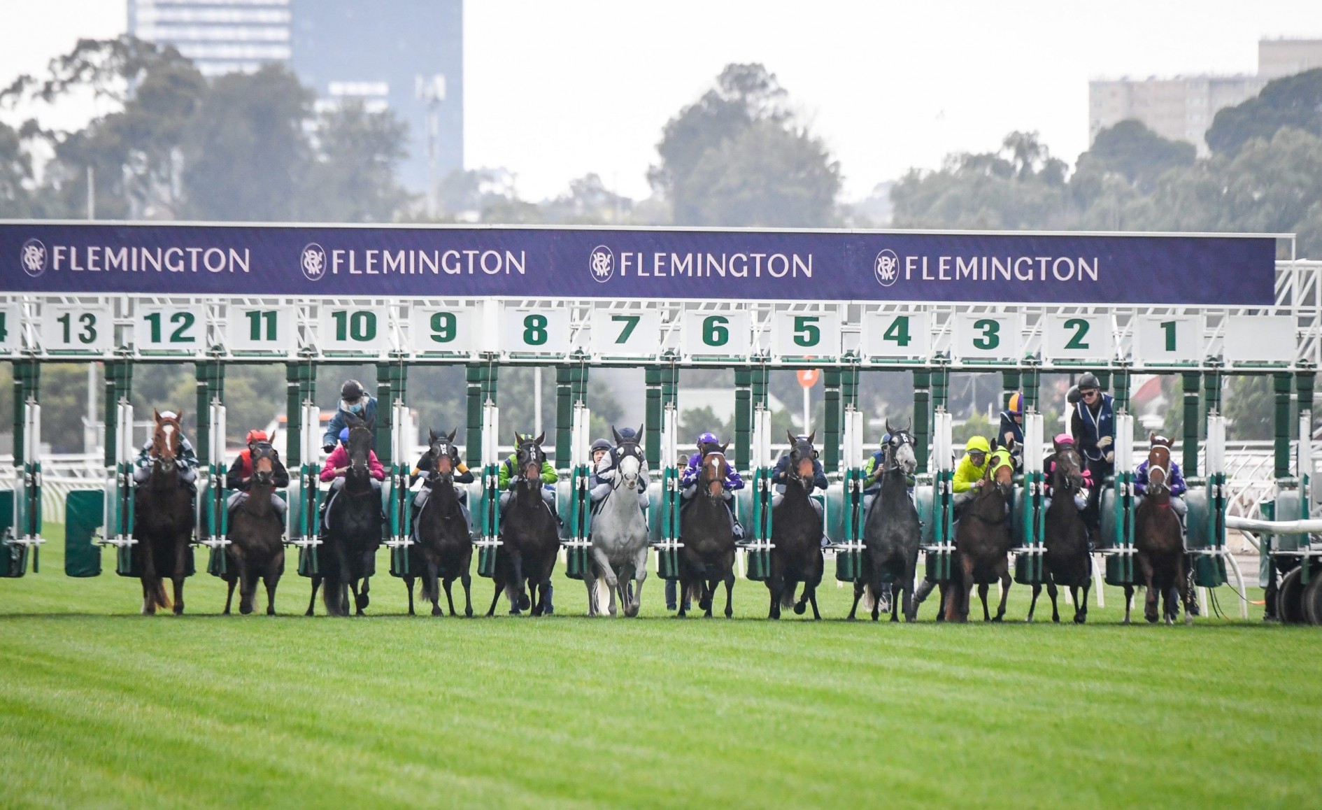 Flemington Horse Racing Tips & Best Bets, Australian Cup day Saturday