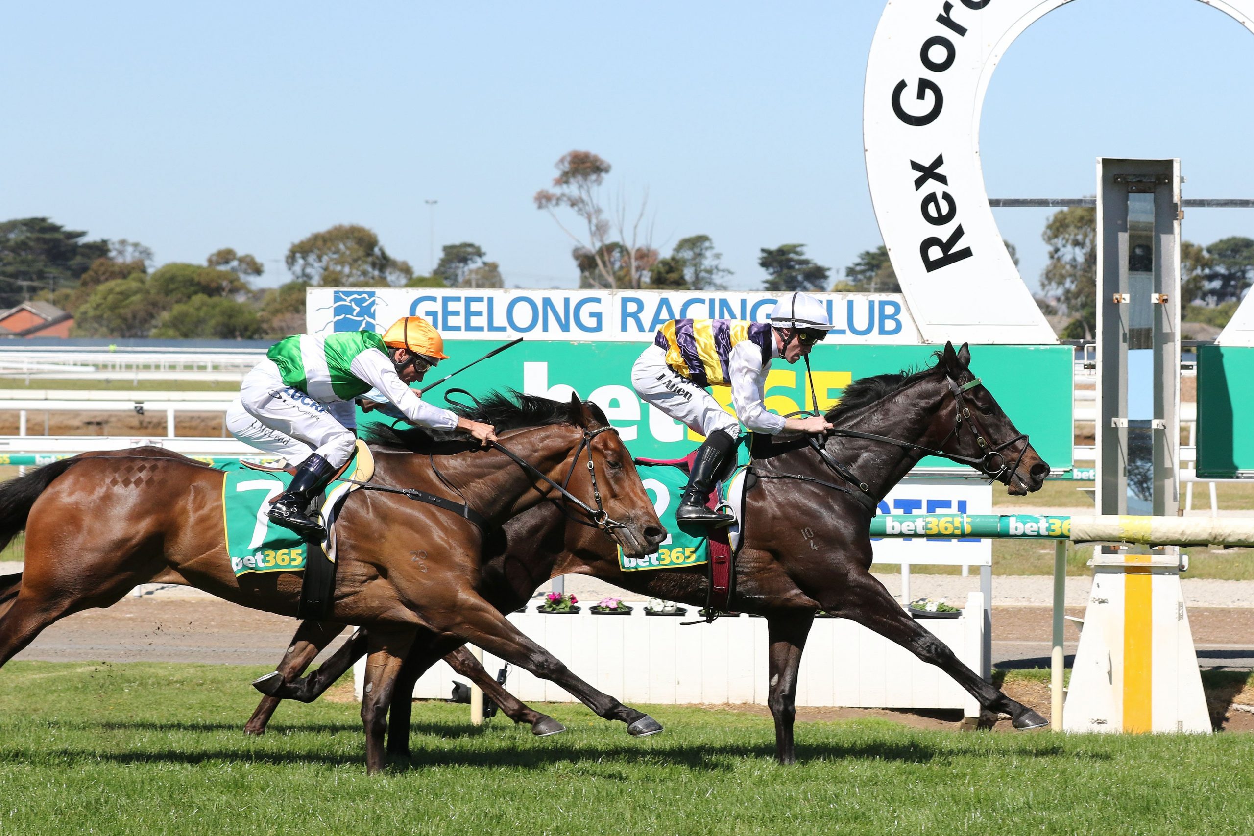 Horse Racing Tips & Best Bets for Geelong, Geelong Cup day – Wednesday