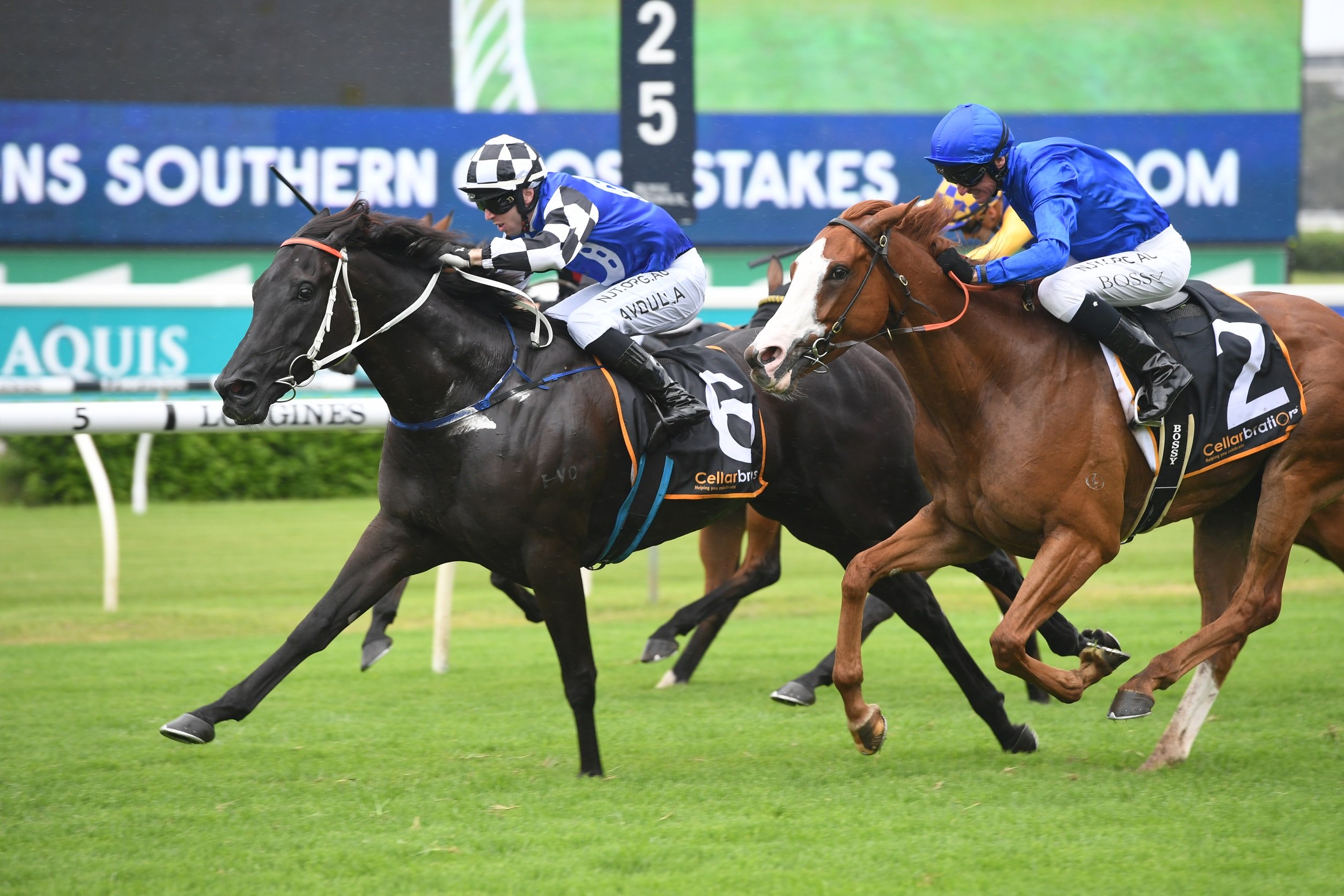 Randwick Horse Racing Tips & Best Bets, Winx Stakes day – Saturday 22nd ...