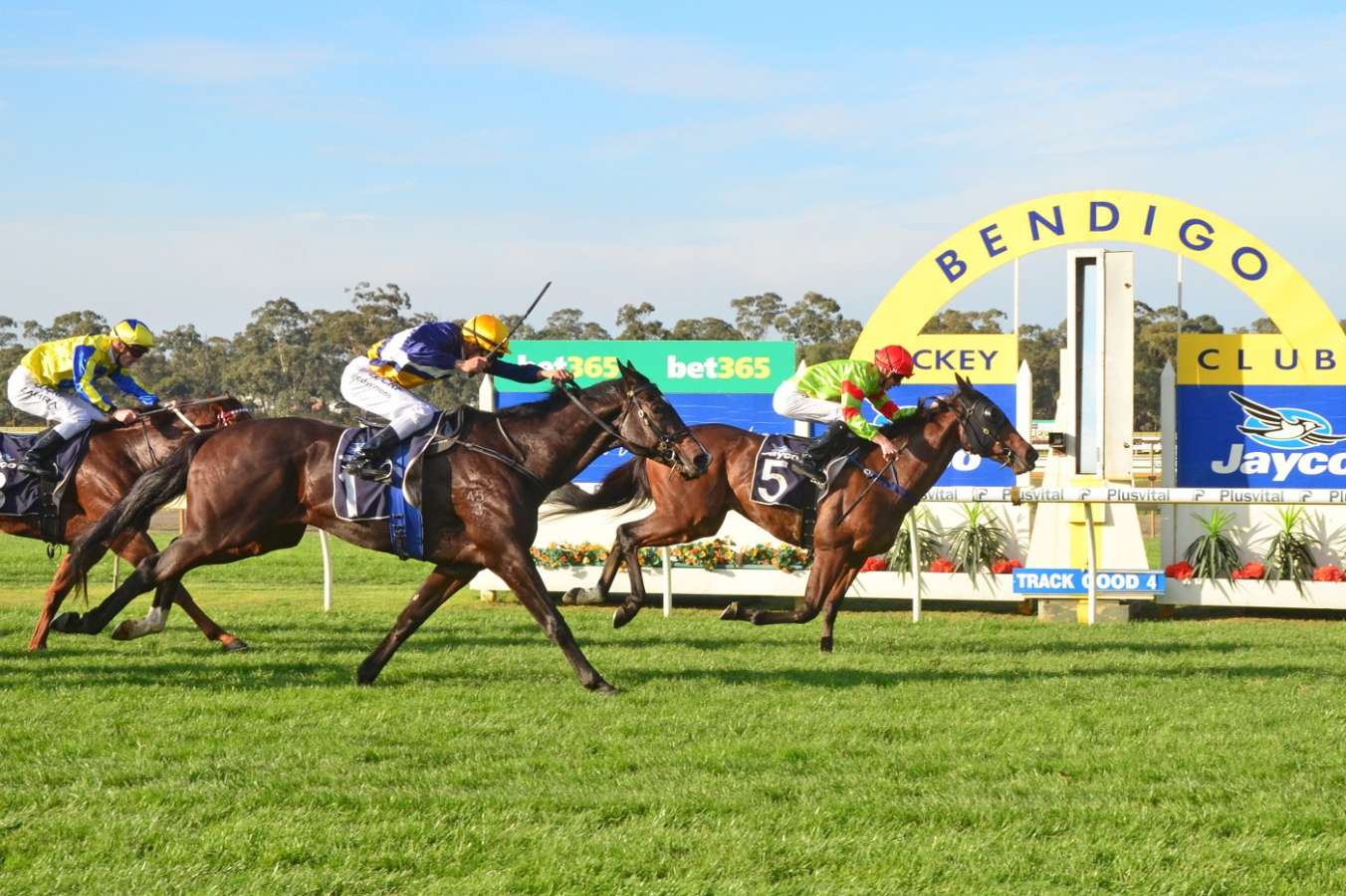 Bendigo Race Course Bendigo Race Course