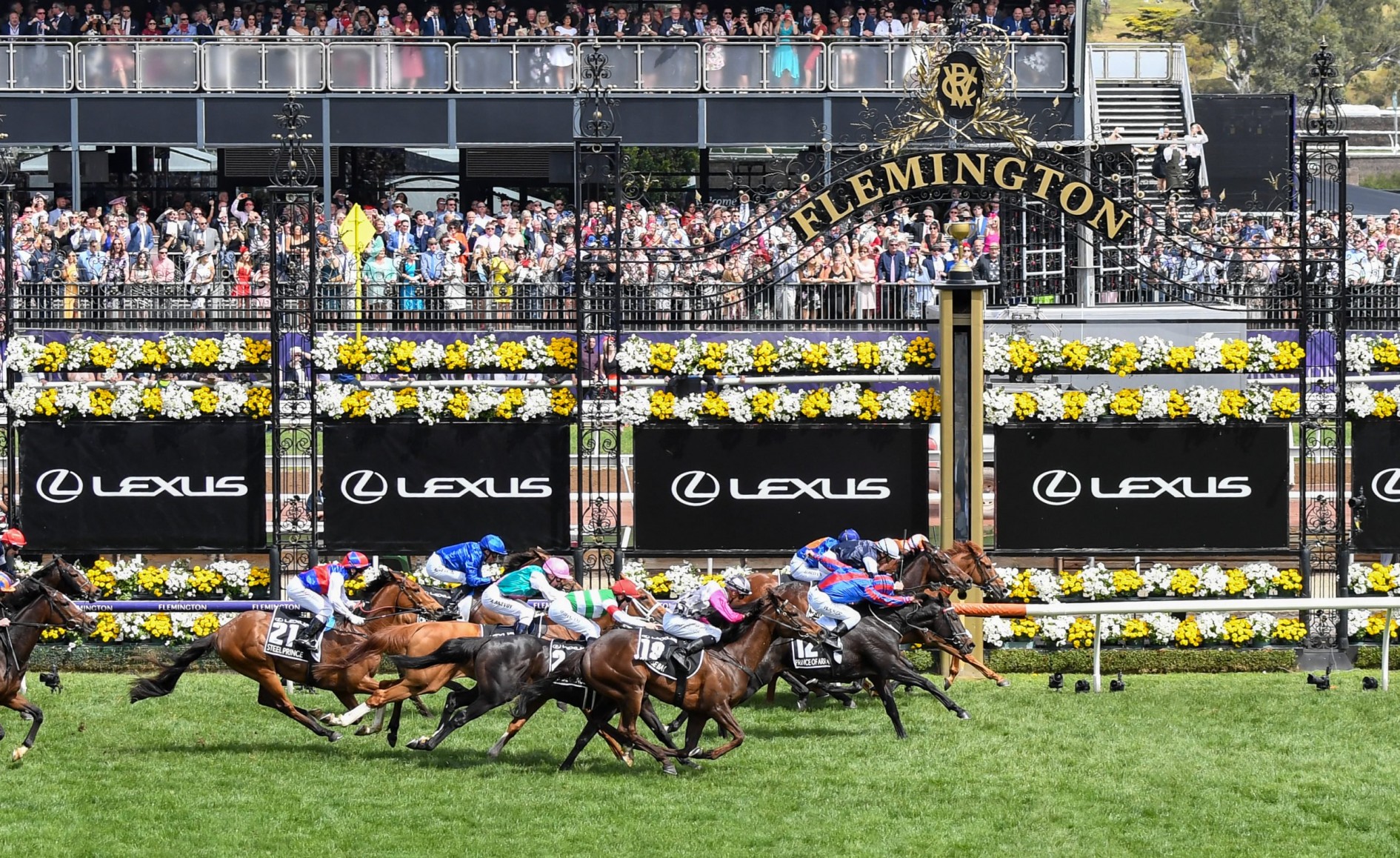 Melbourne Cup the facts and stats Just Racing Melbourne Cup the facts and stats Just Racing