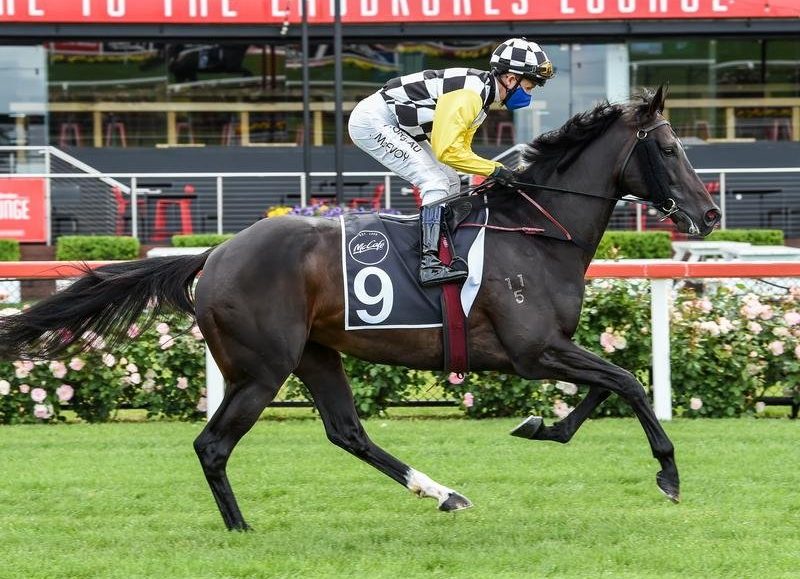 Hotham runners in race for final Melbourne Cup spot Just Racing