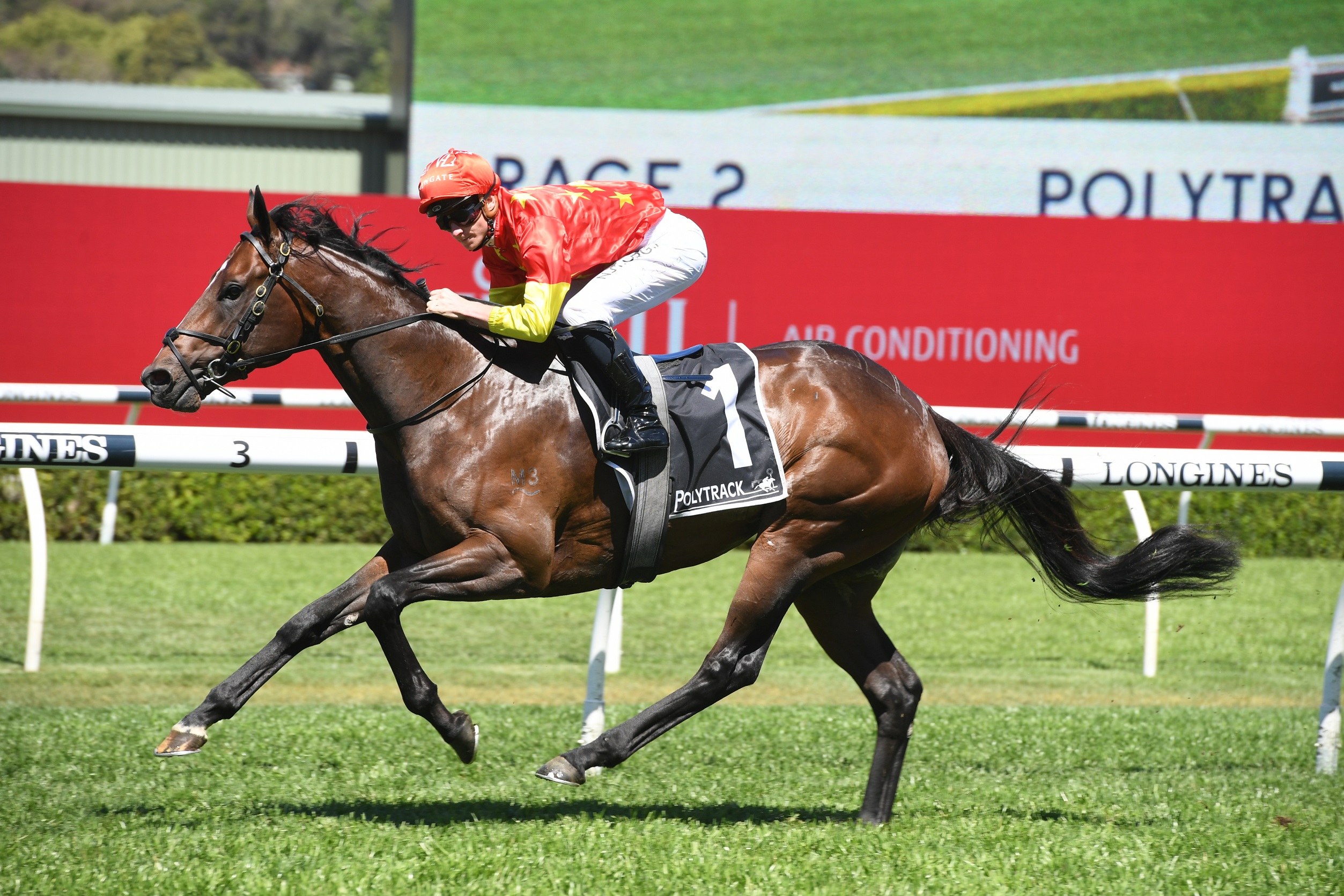 ruler of all horse betting