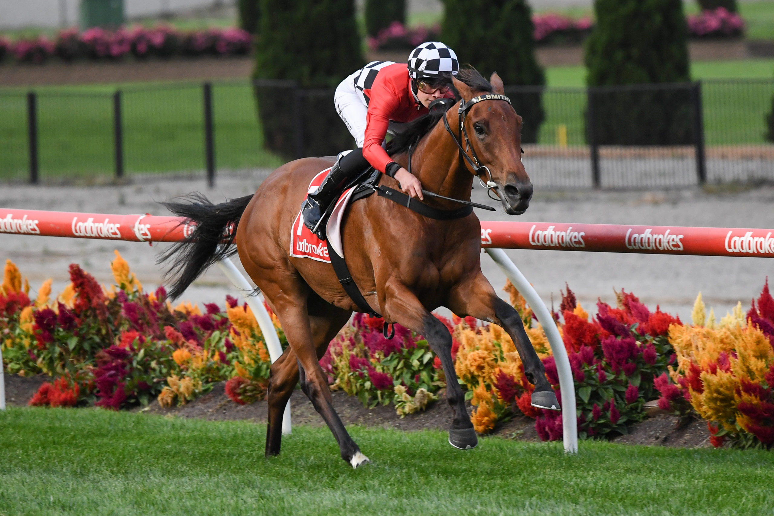 Too Close The Sun Ridden By Lachlan Neindorf Wins The Simpson Construction Handicap At Moonee Valley Racecourse On March 20 2020 In Moonee Ponds Australia. Reg RyanRacing Photos 2 Scaled 1 