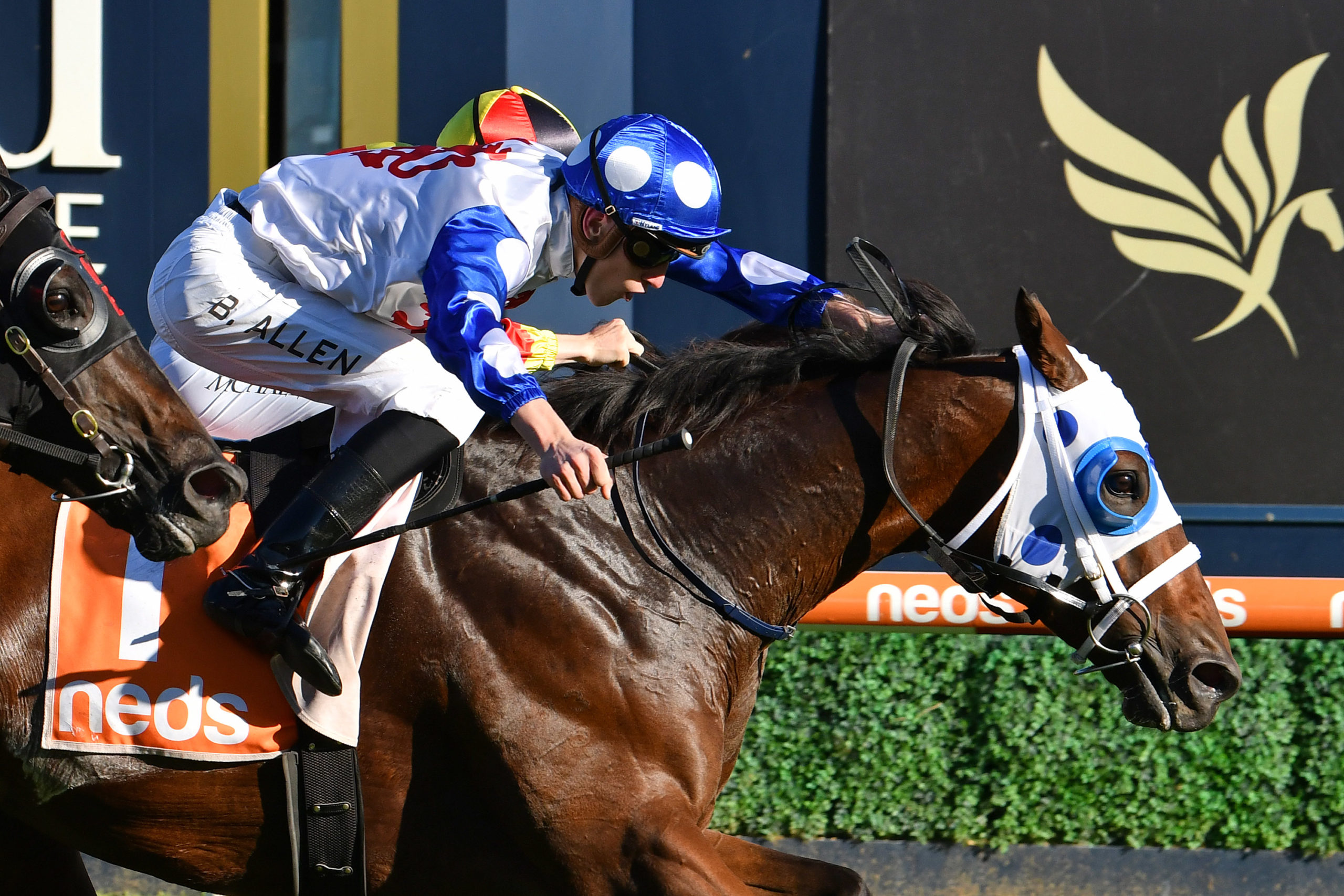Mr Q Quibble Racing All Aged Stakes or VOBIS Gold Mile for Mr Quickie | Just Racing