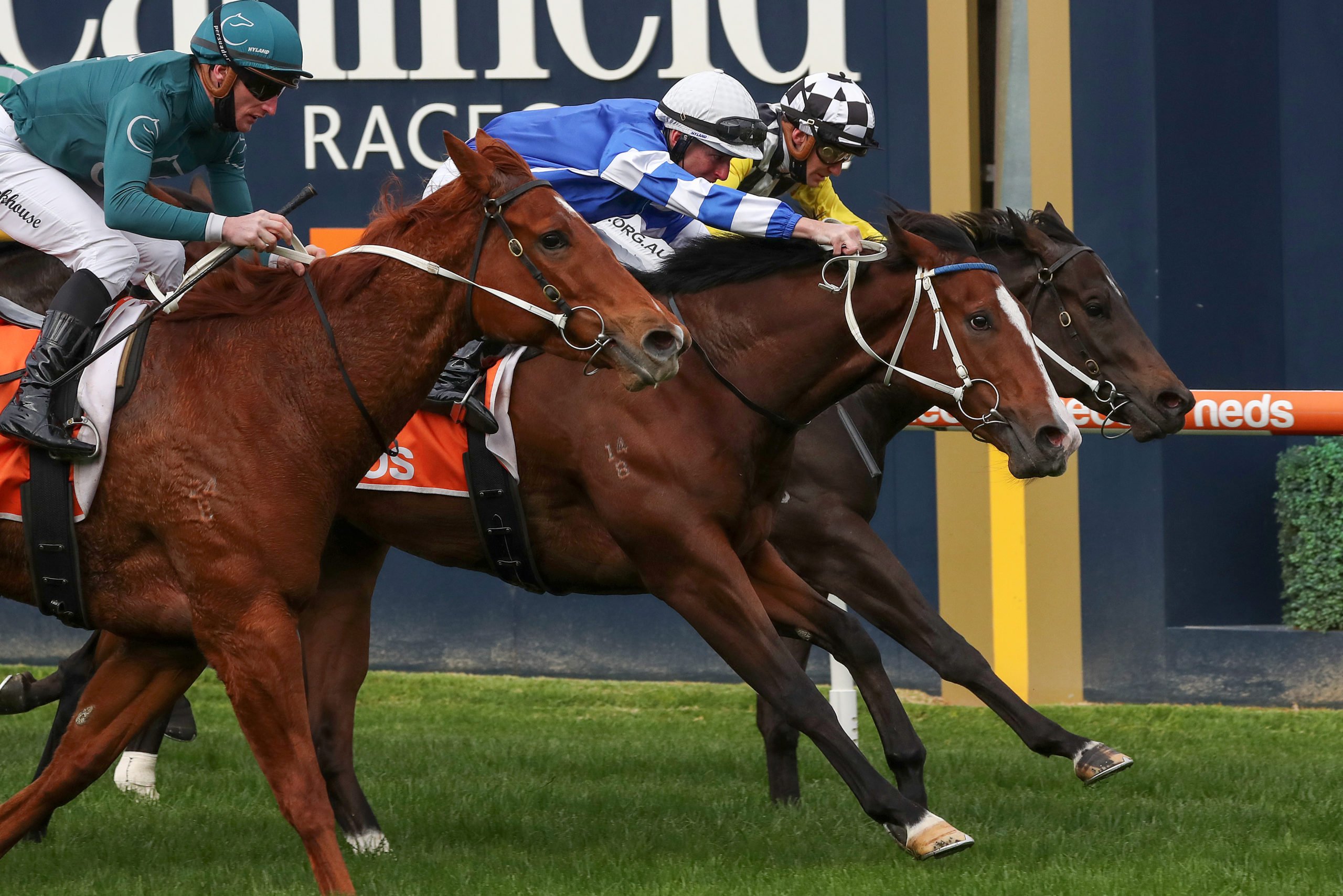 Magic Keep Racing Magic Max puts his hand up at Caulfield | Just Racing