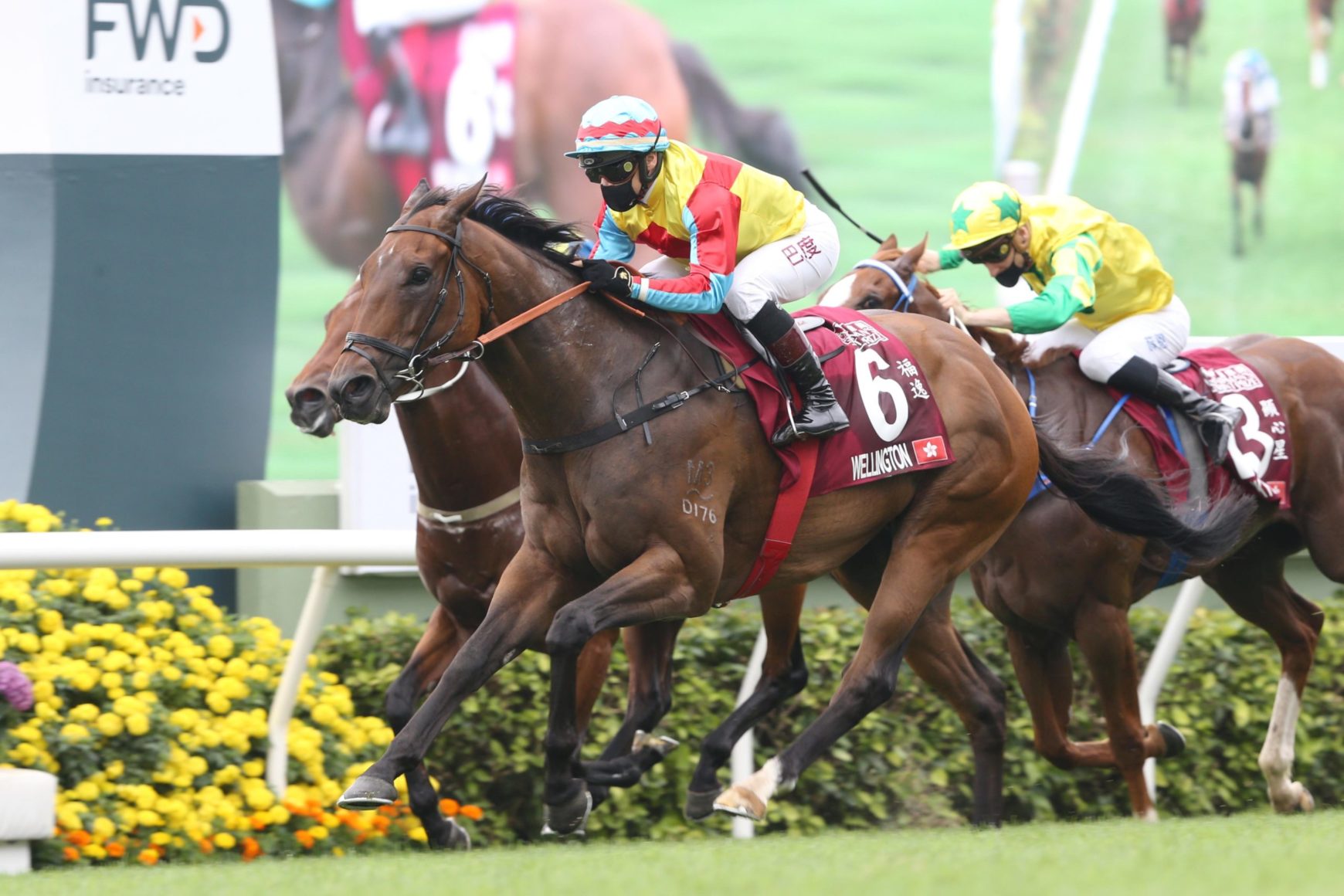 Wellington Races Wellington’s ready to soar, Chairman’s Sprint Prize defence approaches ...