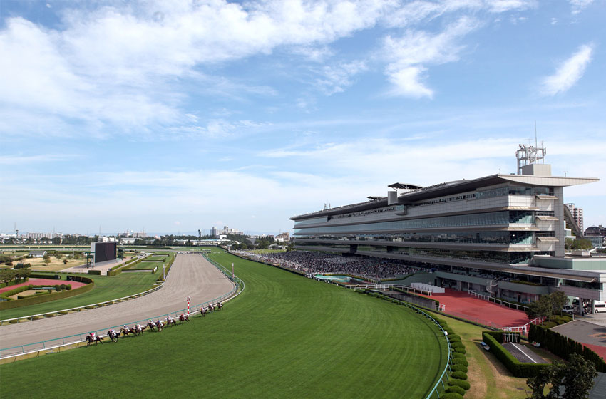 Osaka Racing Track Rising star seen as biggest threat to Efforia in G1 Osaka Hai | Just Racing