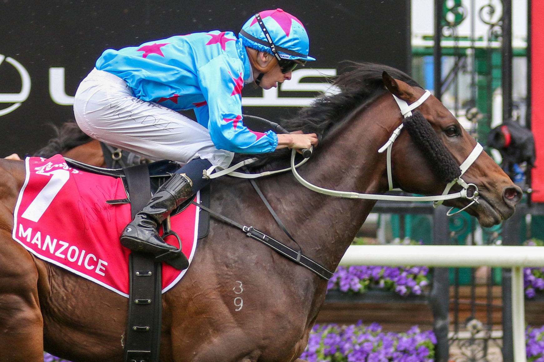 First Up Manzoice fit for first-up mile tilt | Just Racing