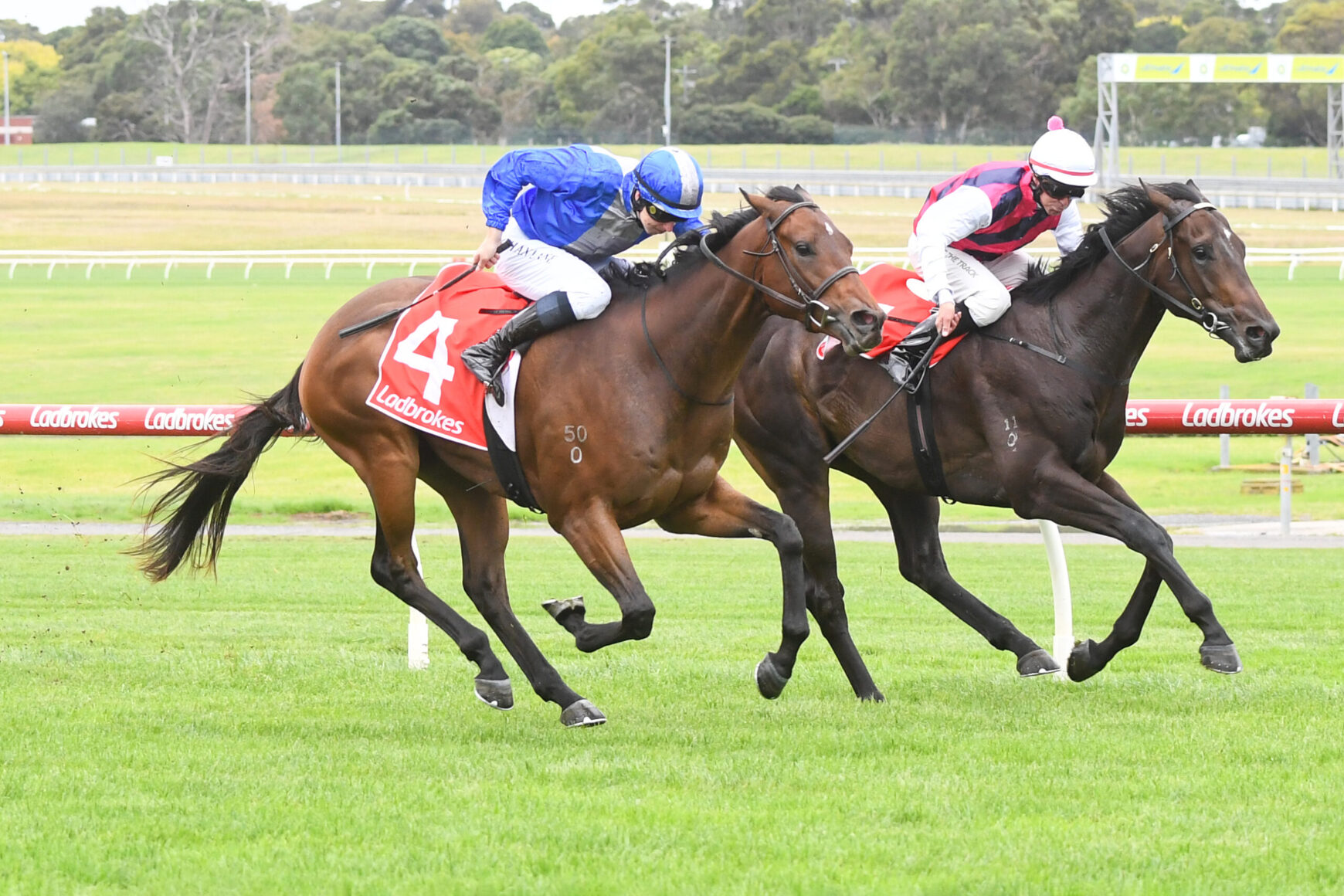 Magic Keep Racing Magic Mogul on track for The Showdown | Just Racing