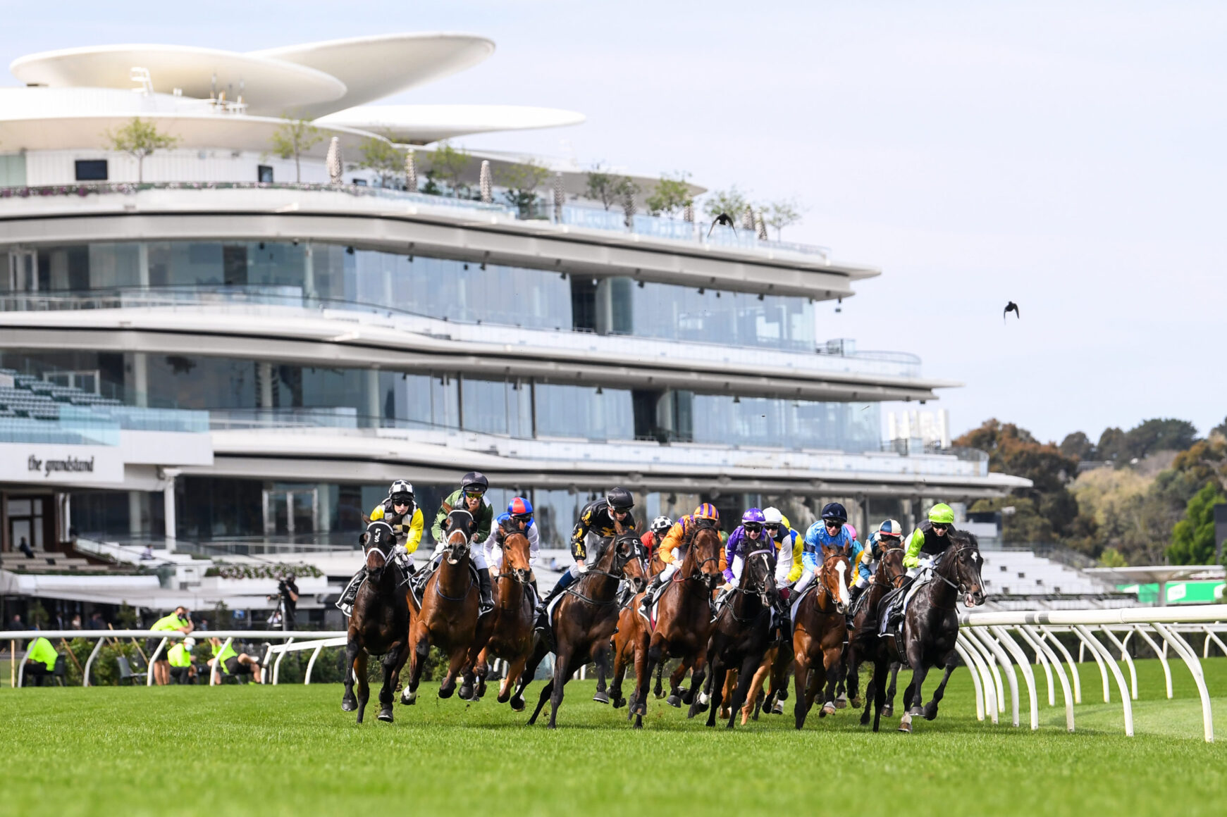 20/7/2024 Horse Racing Tips, Selections and Best Bets Flemington, Flemington Cup day Just Racing