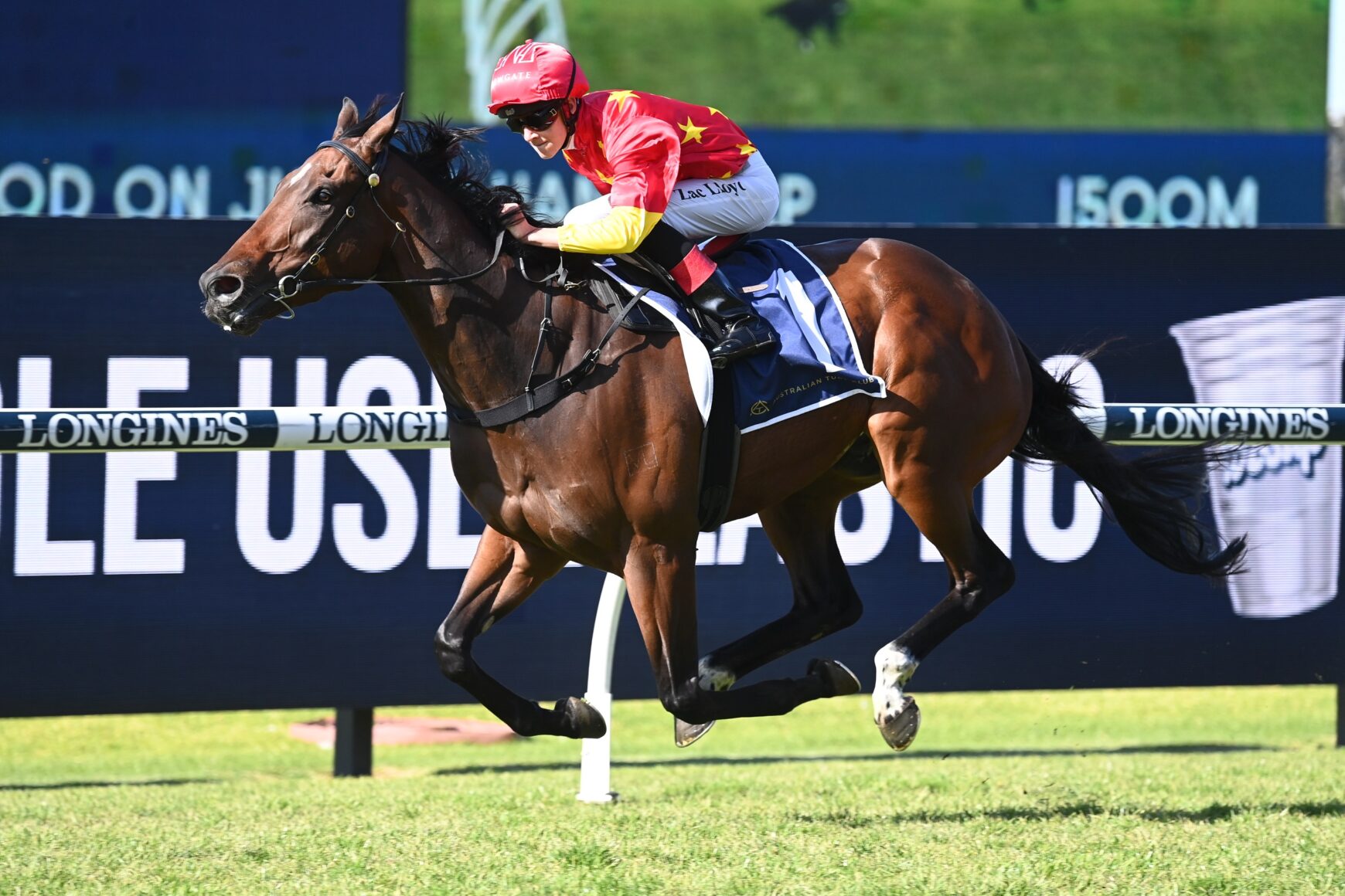 Plenty keen to take up Winter Challenge at Rosehill | Just Racing