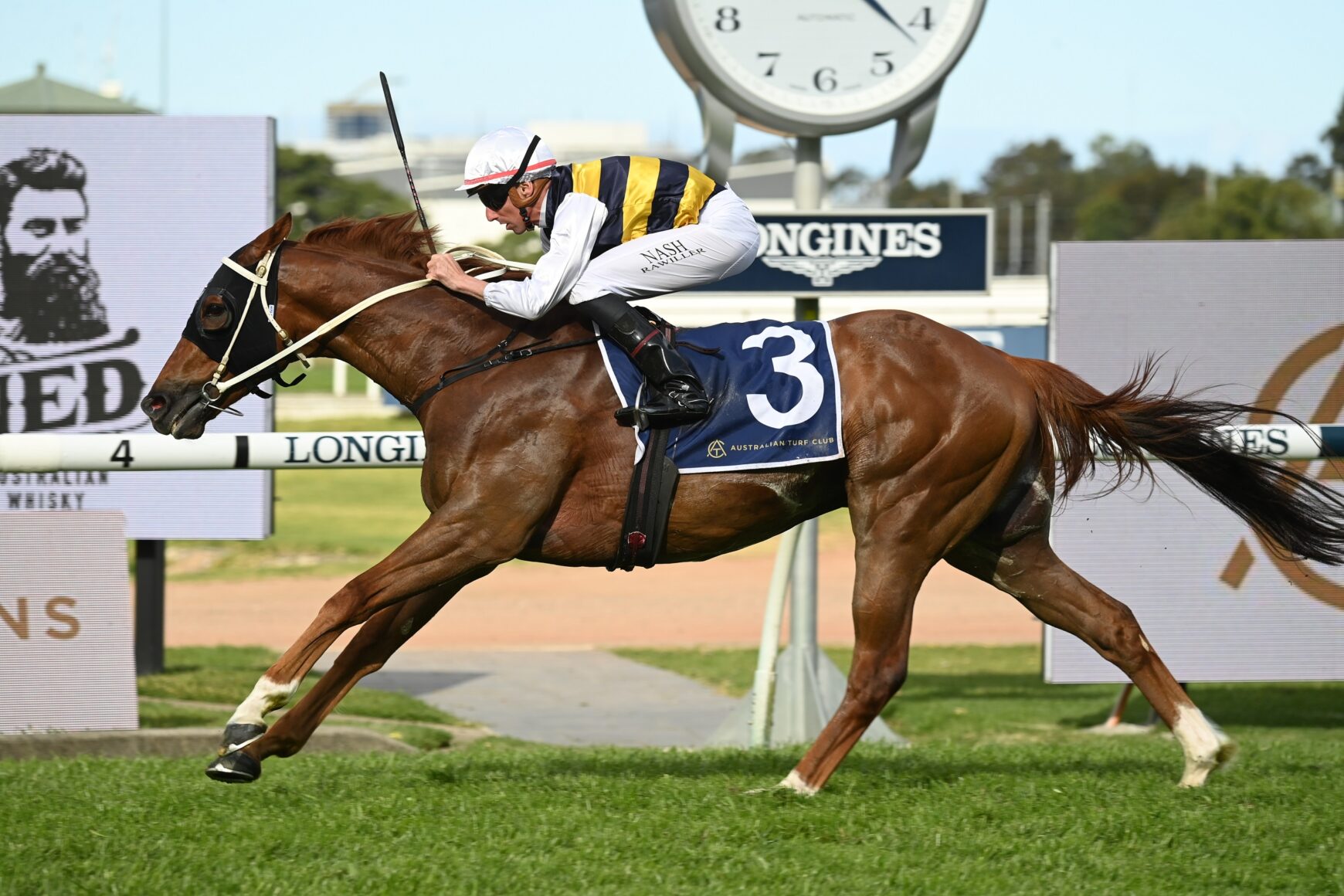 Big Dance favourite can overcome minor setback | Just Racing