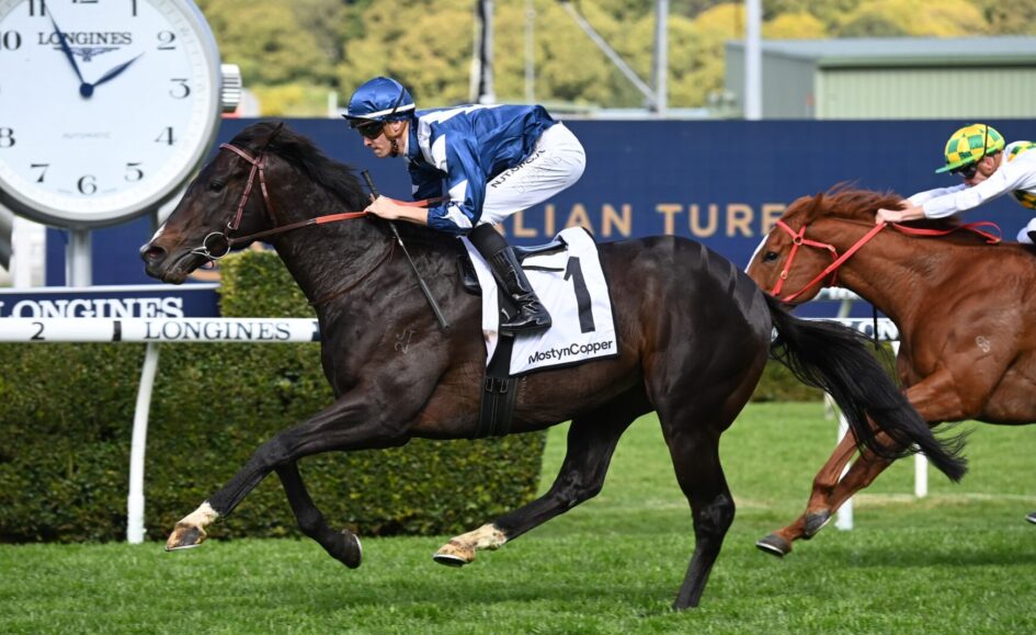 Matthew Smith Racing Matthew Smith pinning his hopes inBuenos Noches | Just Racing