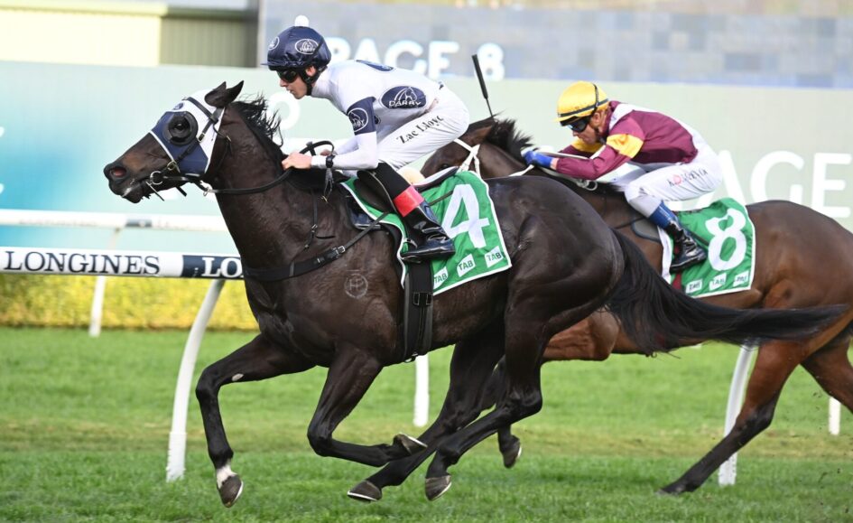 Consistent Insurrection claims the Canterbury Sprint | Just Racing