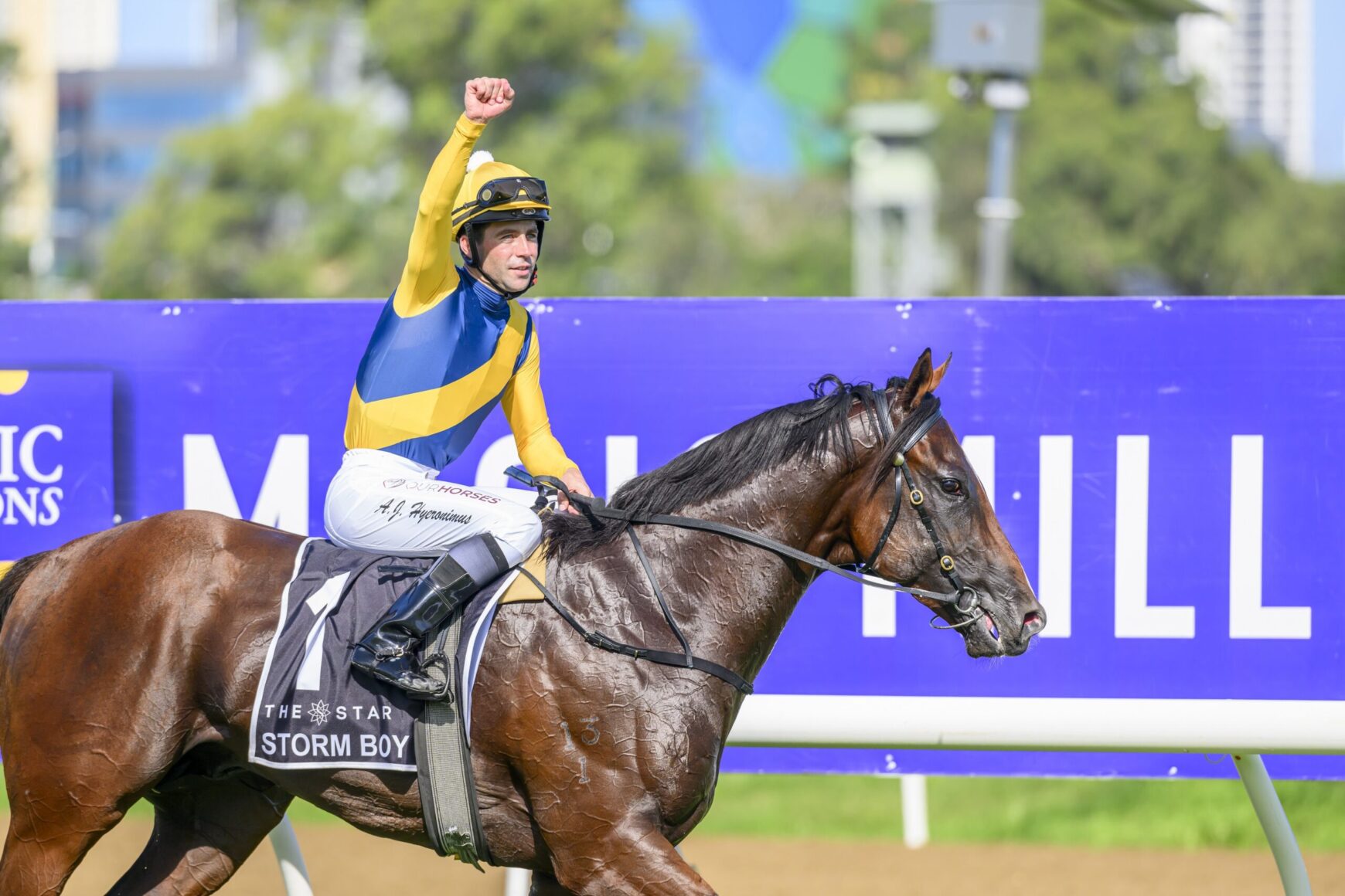 James McDonald takes ride on star colt Storm Boy | Just Racing