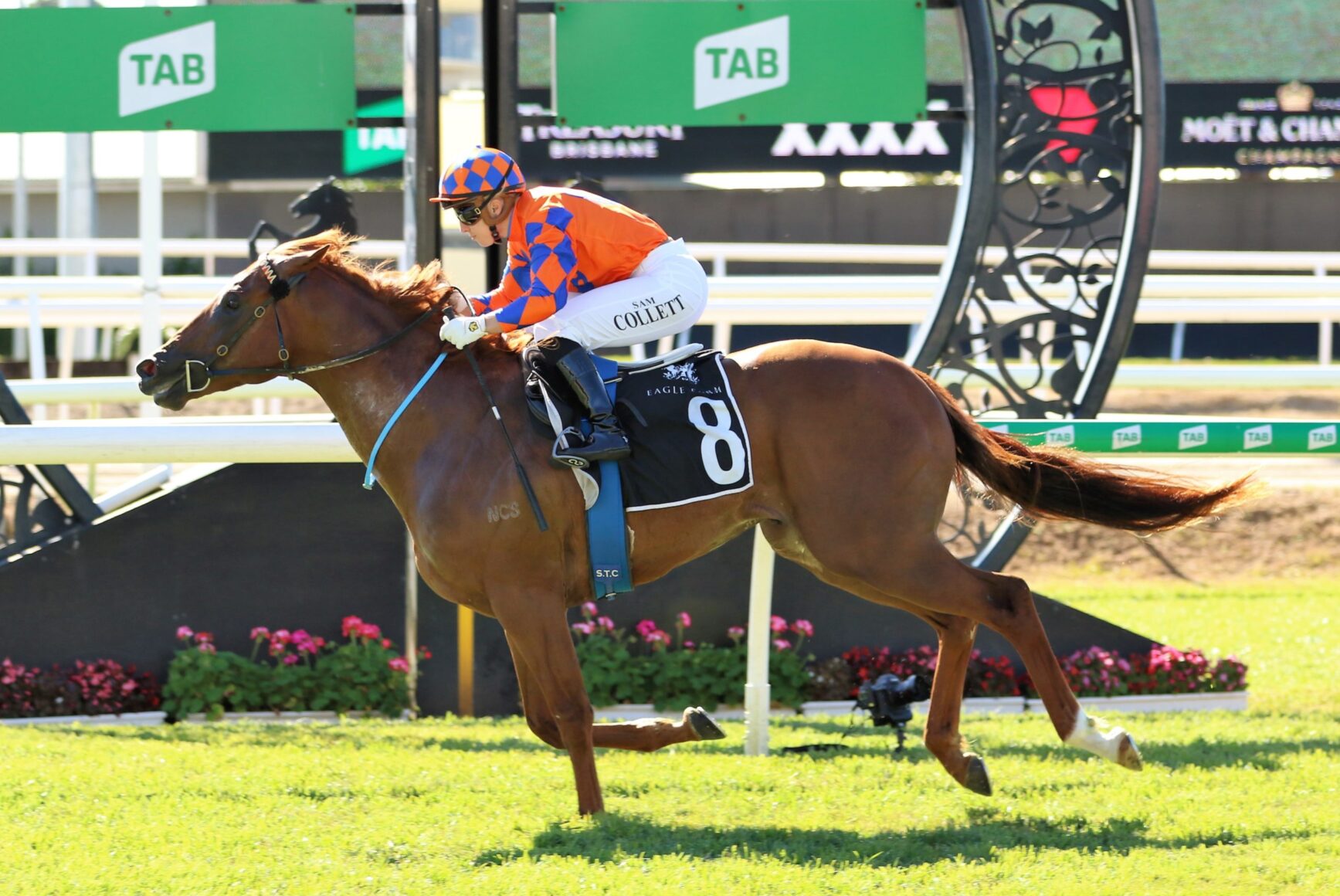 Fan Johnny Rocker Johnny Rocker set to kick off campaign in the Group 1 Moir Stakes ...