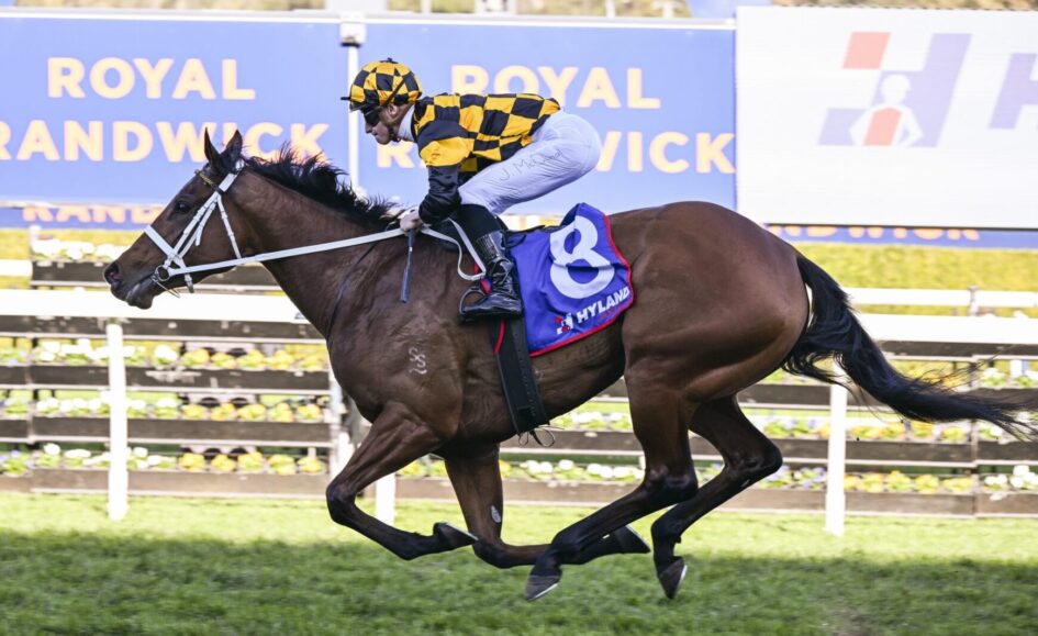 Joliestar fresh and ready for Everest 2024 Just Racing
