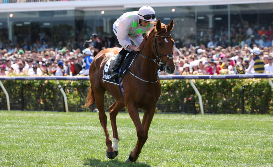 Vauban and Absurde back for second shot at the Melbourne Cup | Just Racing