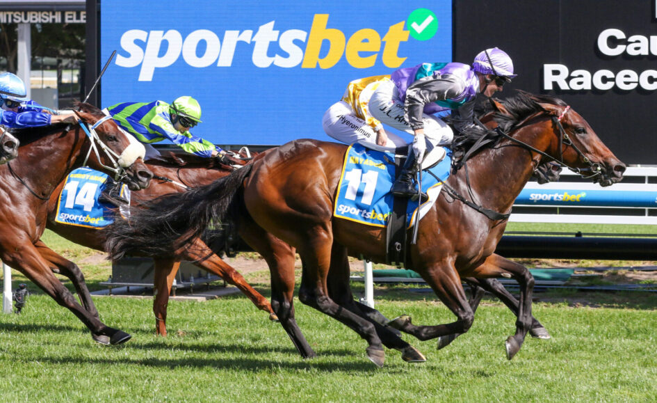 Clinton Mcdonald Racing McDonald mourning the loss of Blue Diamond winner | Just Racing