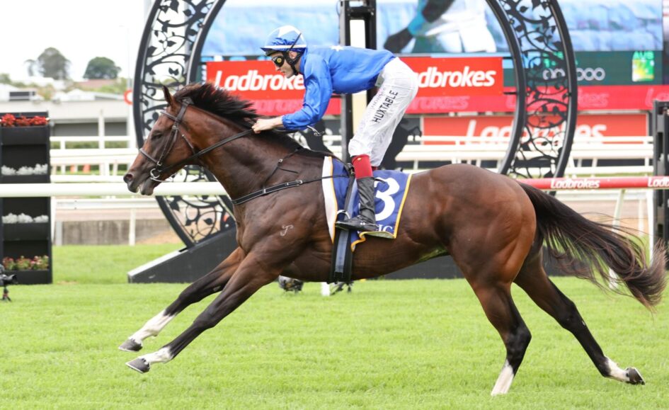 Zip Lock keeps a low profile ahead of Magic Millions showdown | Just Racing