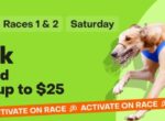Bright green dog-racing banner with a greyhound in a blue vest sprinting, promoting 'Bet Back' up to $25 with race details (Wentworth Park, Races 1 & 2, Saturday) and an orange 'Activate on Race' stripe.