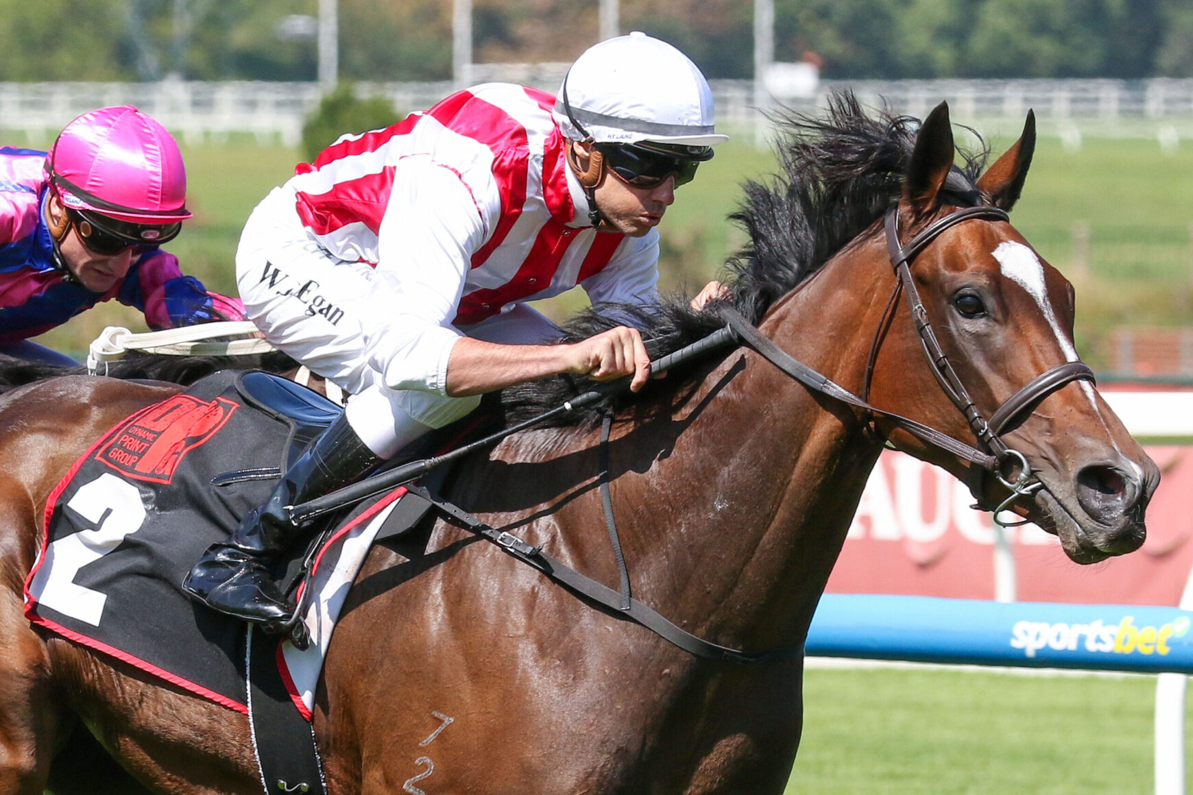 Two jockeys race a bay horse on a sunny track, one in pink helmet and colorful silks chasing ahead.