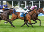 Jockeys ride racing horses at full speed on a grassy track, blue and pink silks visible, number 6 saddle cloth forefront.