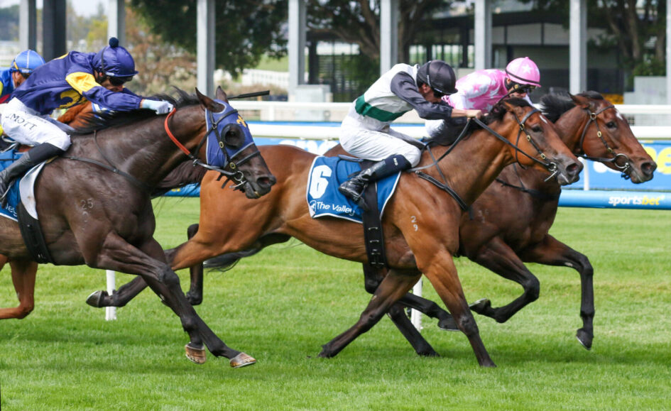 Jockeys ride racing horses at full speed on a grassy track, blue and pink silks visible, number 6 saddle cloth forefront.