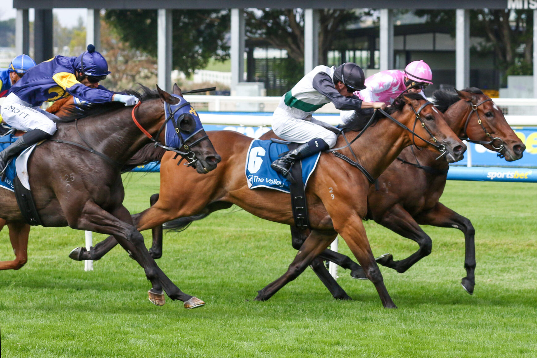 Jockeys ride racing horses at full speed on a grassy track, blue and pink silks visible, number 6 saddle cloth forefront.