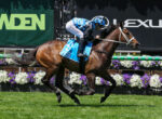 Jockey in blue checkered silks rides a brown horse at full gallop on a green turf racecourse with floral decor nearby?