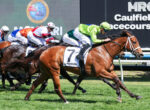 Thoroughbred race in progress; leading chestnut horse with lime-green silks rider, others close behind on the grass track.