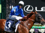 Jockey in blue jacket and white cap riding a brown racehorse with number 3 saddle cloth labeled Coolmore, mid-race.