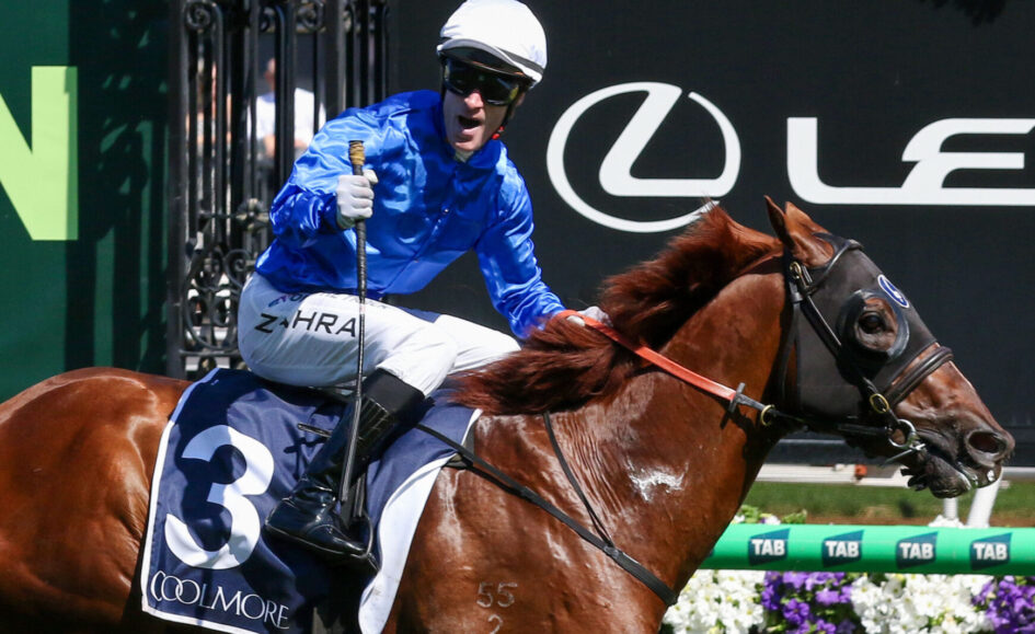 Jockey in blue jacket and white cap riding a brown racehorse with number 3 saddle cloth labeled Coolmore, mid-race.