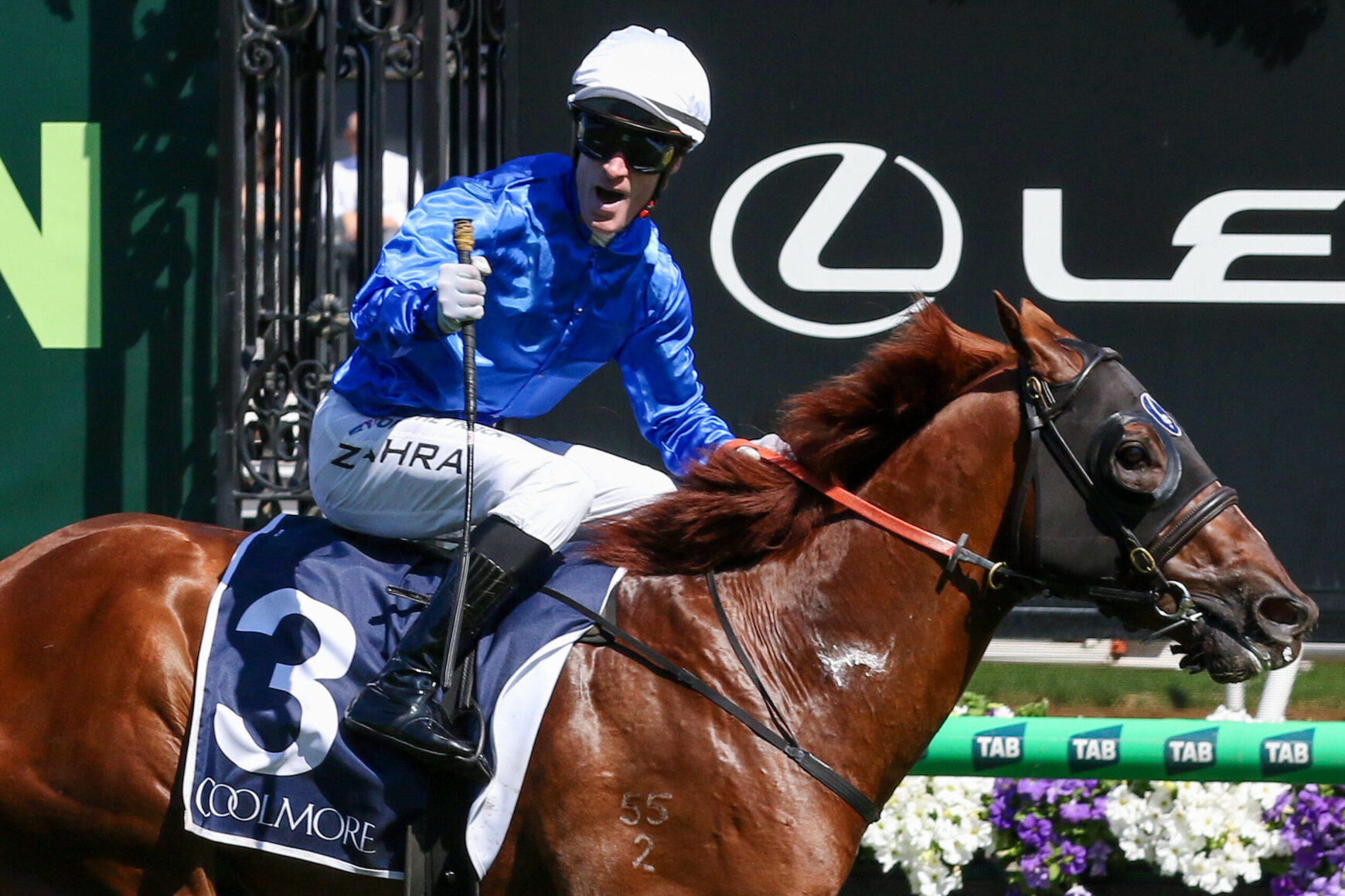 Jockey in blue jacket and white cap riding a brown racehorse with number 3 saddle cloth labeled Coolmore, mid-race.