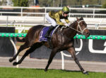 Jockey in green helmet and gold silks rides a dark horse racing along a track with green rails nearby.