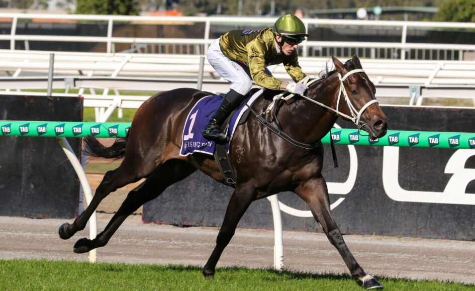 Jockey in green helmet and gold silks rides a dark horse racing along a track with green rails nearby.