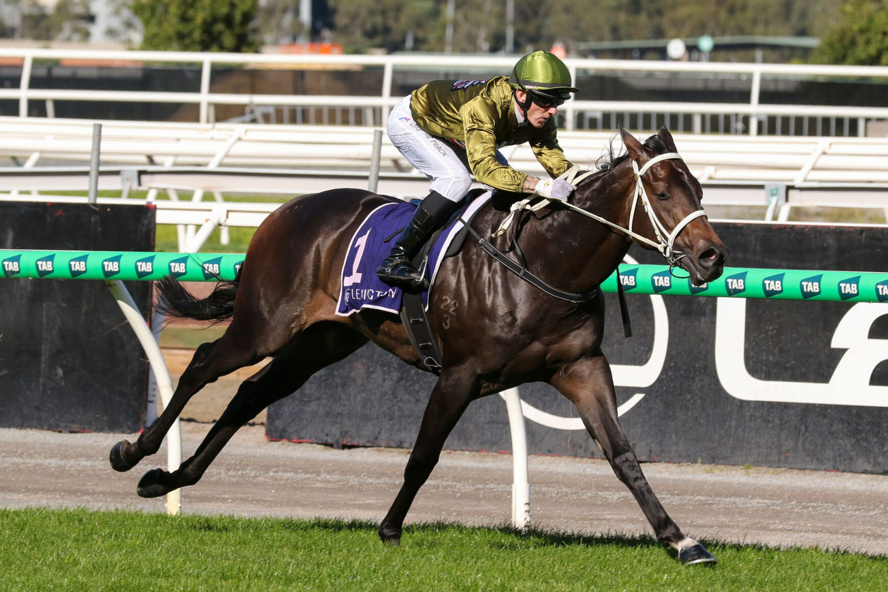 Jockey in green helmet and gold silks rides a dark horse racing along a track with green rails nearby.