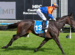 Jockey in blue and orange silks rides a dark brown racehorse with number 13 saddlecloth at Caulfield Racecourse during a race.