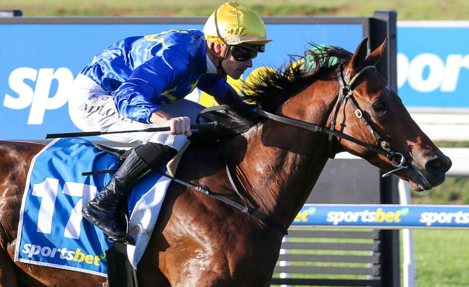 Jockey in blue silks and a yellow helmet rides a brown horse on a racetrack, number 12 visible on the horse's blanket.