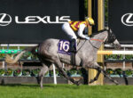 Grey racehorse and jockey jumping a hurdle during a Flemington race, number 16 on the saddlecloth, Lexus signs in the background